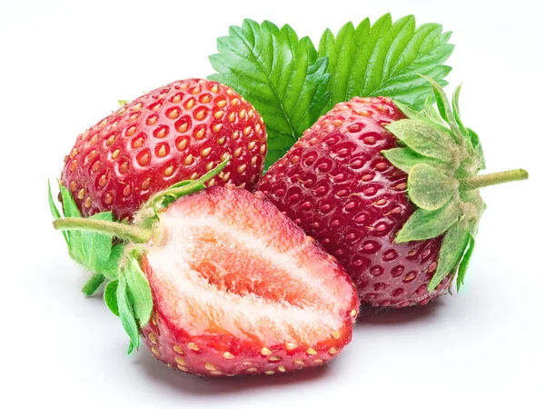 Erdbeere auf weißem Hintergrund. — Stockfoto