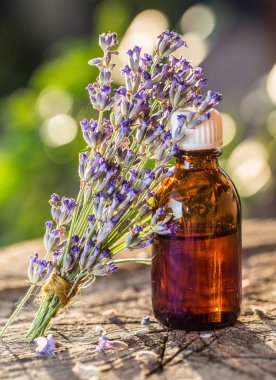 Grup lavandula veya lavanta çiçekleri ve petrol şişe are üstünde