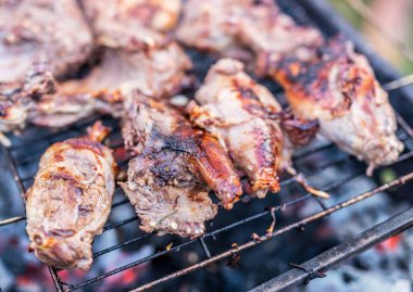 Eğitimin et ızgara.