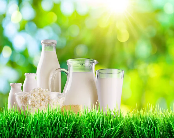 Bio-Milchprodukt auf dem grünen Gras. verschwommener Natur-Hintergrund — Stockfoto