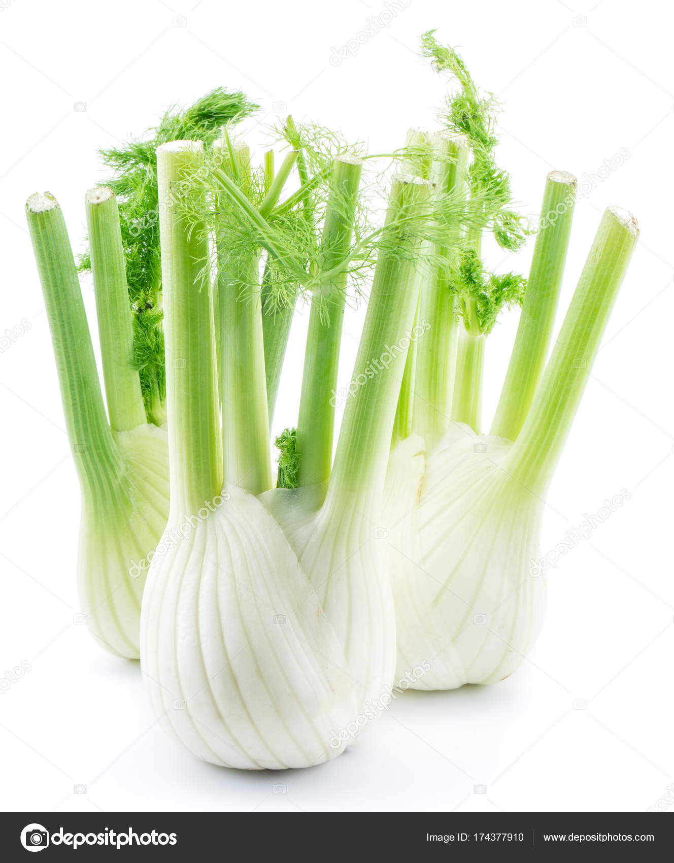 Florence fennel bulbs. Stock Photo by ©Valentyn_Volkov 174377910