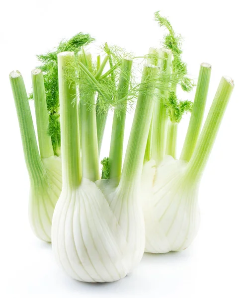 Florence fennel bulbs. — Stock Photo, Image