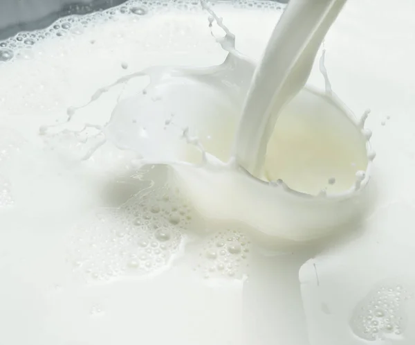 Gieten melk en melk splash. Close-up. — Stockfoto