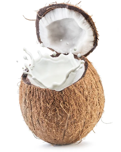 Fruits de coco et éclaboussures de lait à l'intérieur . — Photo