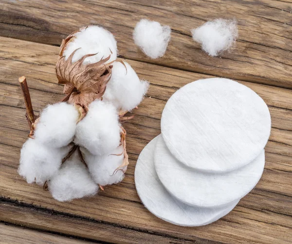 Fluffig bomull boll och bomullspinnar och kuddar på träbord. — Stockfoto