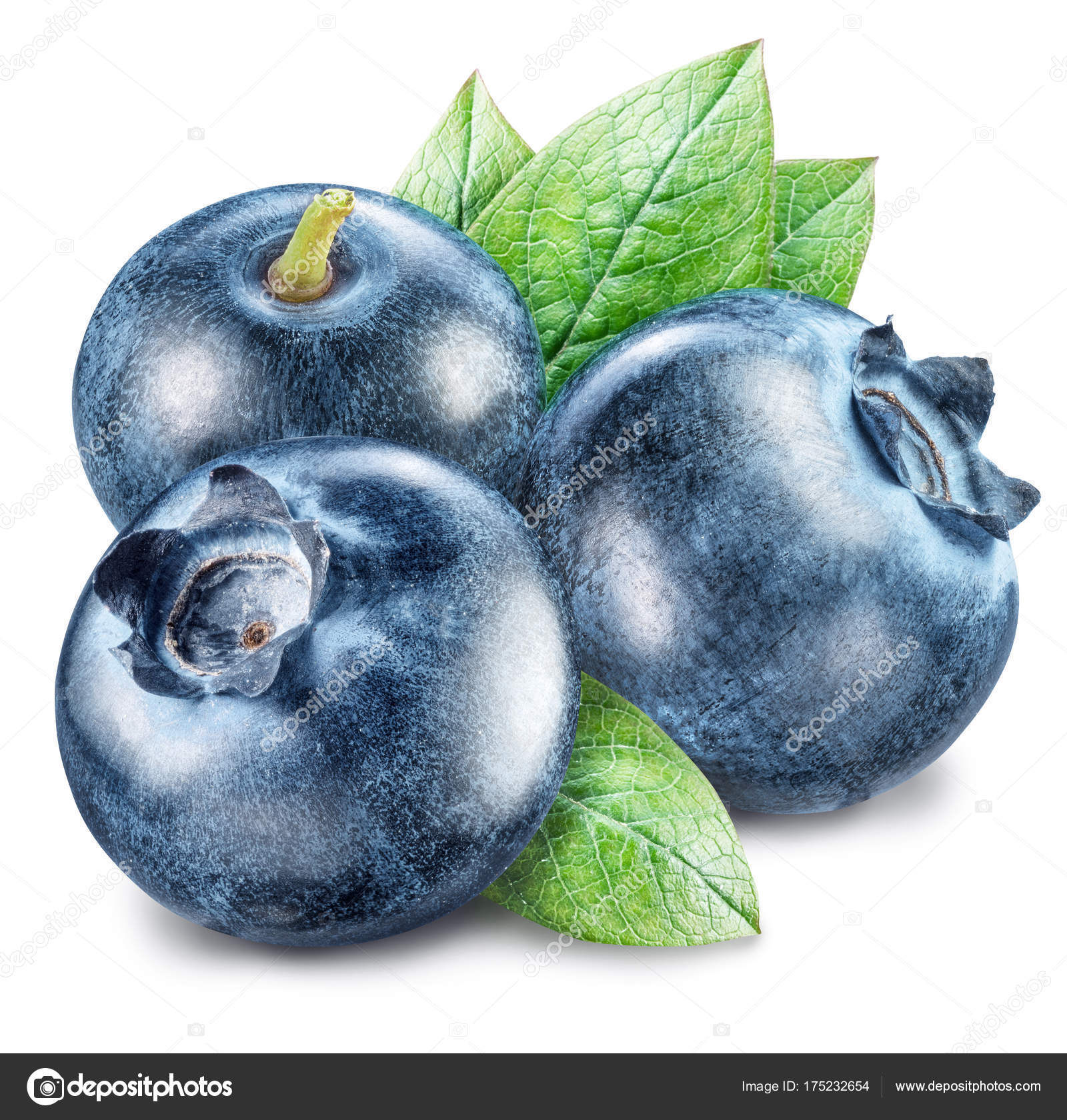 34+ Heidelbeeren Und Blaubeeren, Wenn du wissen möchtest, was die