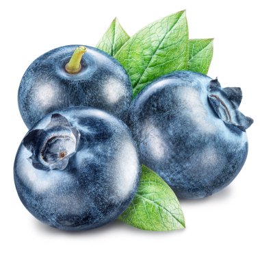 Yaban mersini ve yaban mersini yaprağı. Makro vurdu. Dosyada, cl