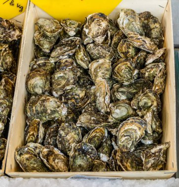 İstiridye içinde ahşap tepsi içinde belgili tanımlık çarşı.