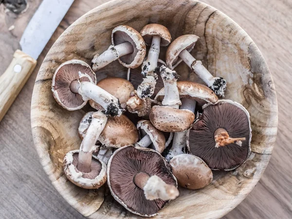 Champignon-Pilze in der Schüssel auf dem Holztisch. — Stockfoto