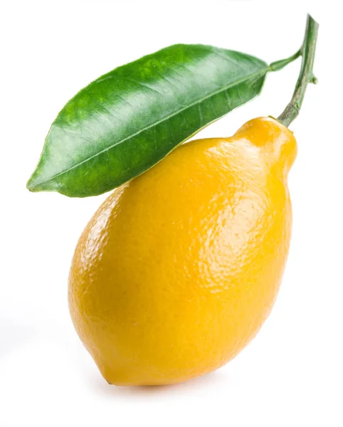 Fruta de limão madura com folha no fundo branco . — Fotografia de Stock