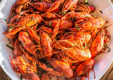 Tam tabak haşlanmış crayfishes. Üstten Görünüm.