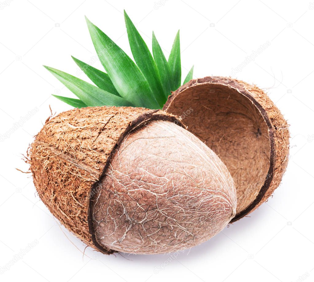 Coconut fruit.
