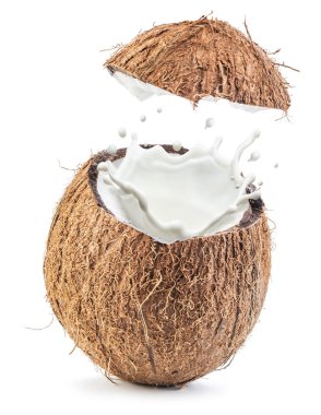 Coconut fruit and milk splash inside it. clipart