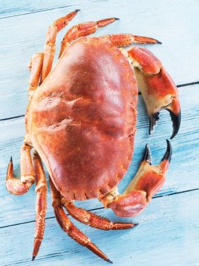 Pişmiş Yengeç kahverengi ya da mavi ahşap sekmesinde izole yenilebilir Yengeç