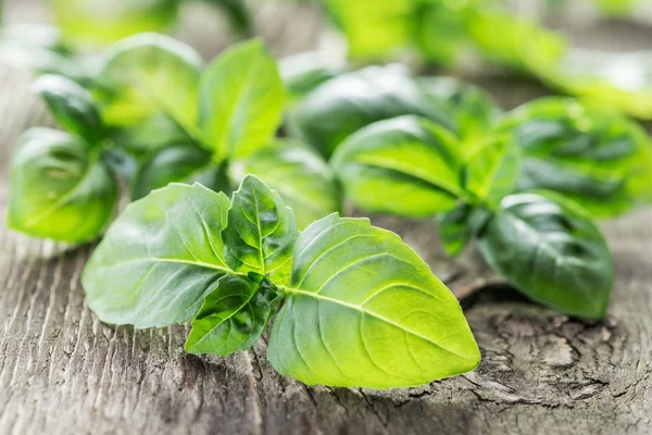 Eski ahşap masa üzerinde yeşil basil otlar. — Stok fotoğraf