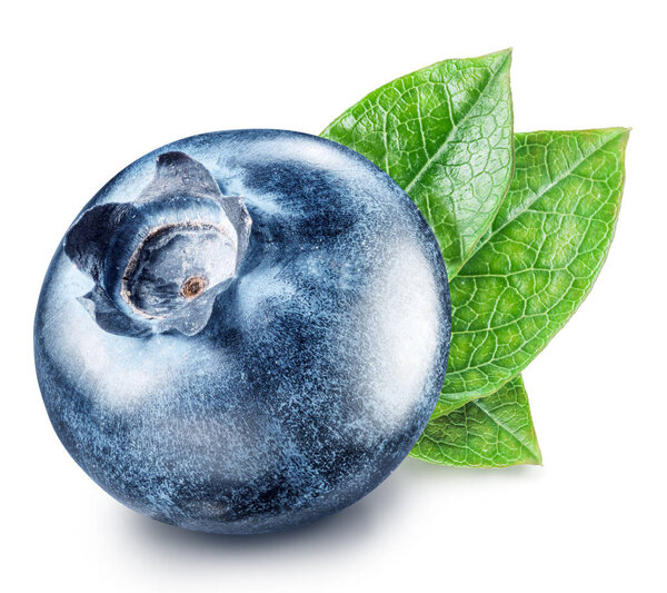 Blueberry with leaves. Macro shot. File contains clipping path.