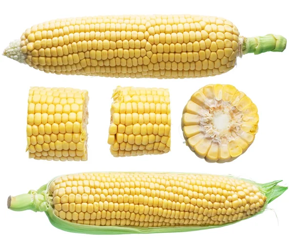Ucho kukurydzy lub kukurydziany na białym tle. — Zdjęcie stockowe