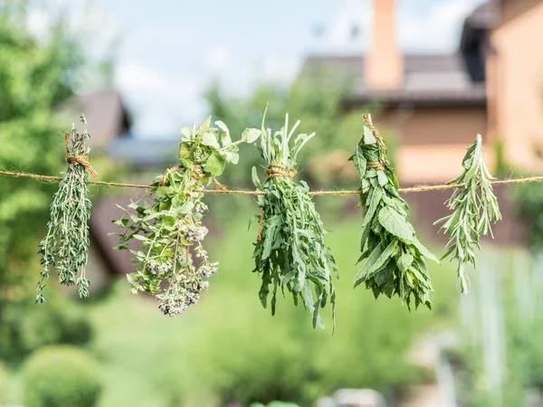 Bundles of flavoured herbs drying on the open air. Nature backgr — Stock Photo, Image