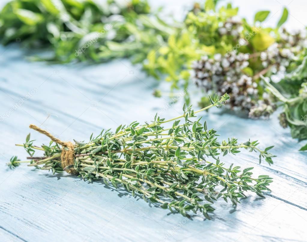 Fresh herbs on the wooden table.