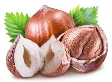 Fındık, fındık ve yeşil yaprakları çekirdek. Kırpma yolu.