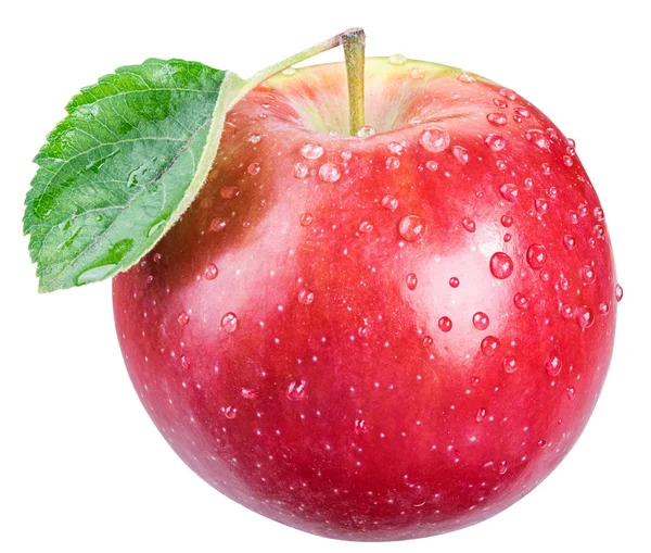 Manzana roja madura con gotas de agua . —  Fotos de Stock