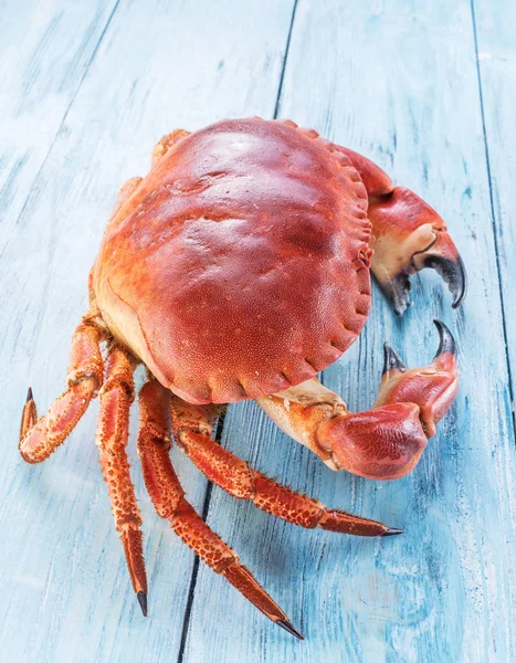 Gekochte braune Krabbe oder essbare Krabbe. — Stockfoto