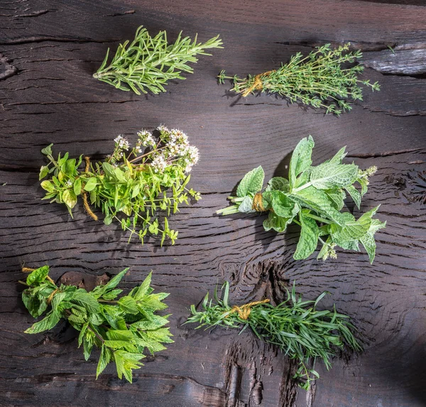 Свежие травы на деревянном столе . — стоковое фото