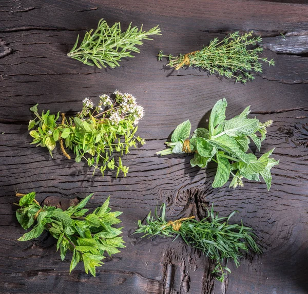 Herbes fraîches sur la table en bois . — Photo