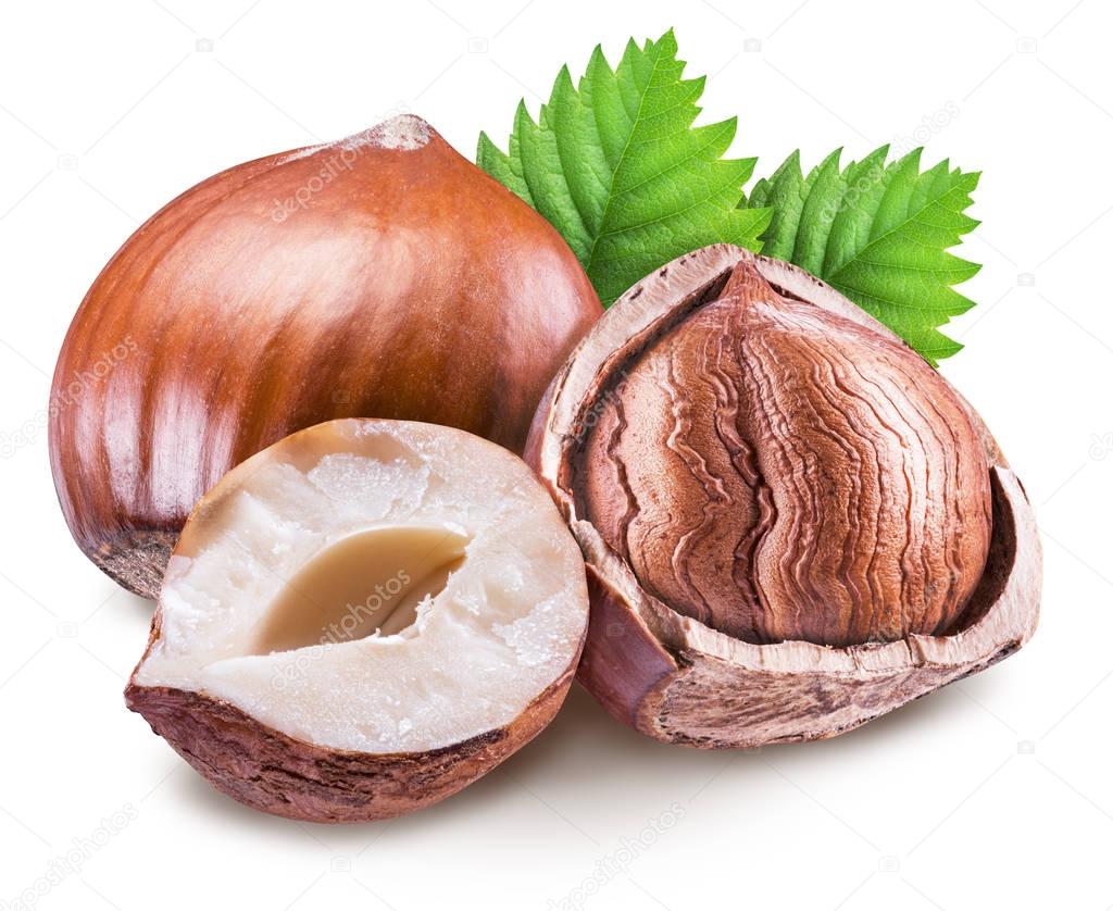 Hazelnuts, kernel of hazelnut and green leaves. Clipping path.