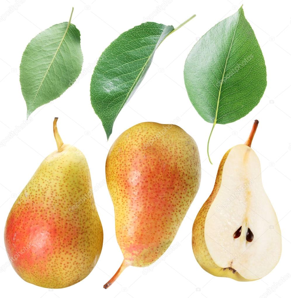 Green pear leaves and pear fruit. Clipping path.