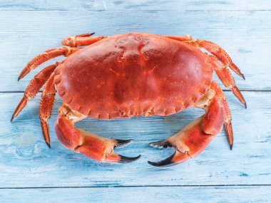 Pişmiş Yengeç kahverengi ya da mavi ahşap sekmesinde izole yenilebilir Yengeç