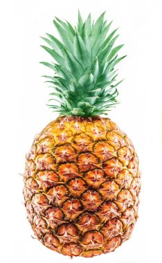 ananas bitkisi.