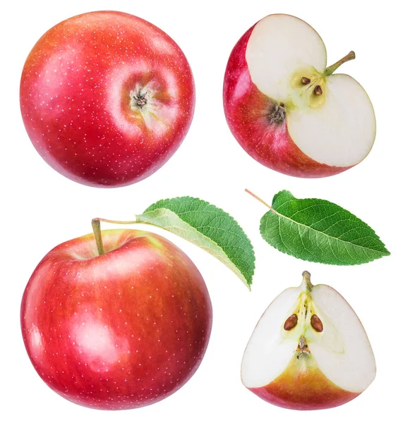 Set of ripe red apples and apple slices. — Stock Photo, Image