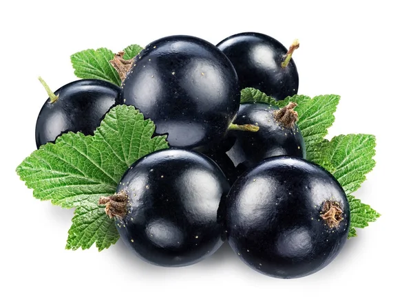 Black currant on the white background. — Stock Photo, Image