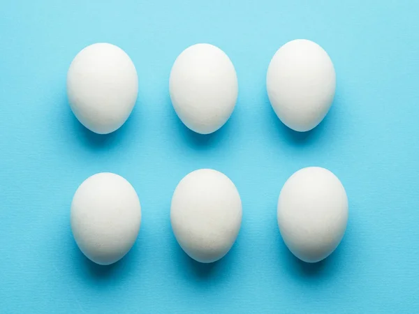 White chicken eggs on the blue background. — Stock Photo, Image