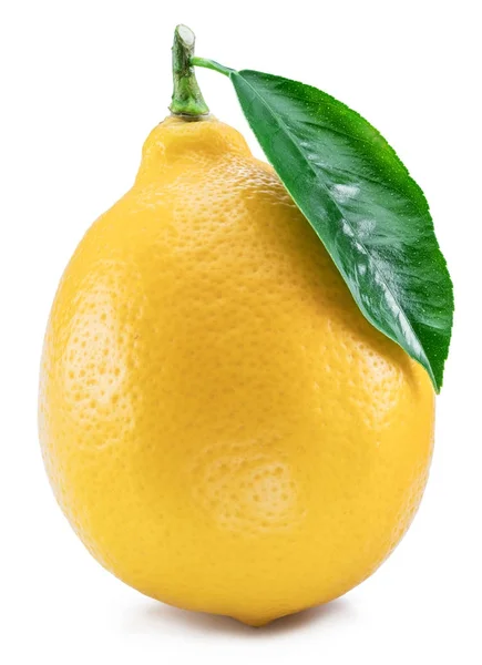 Frutta matura al limone con foglia di limone su sfondo bianco . — Foto Stock