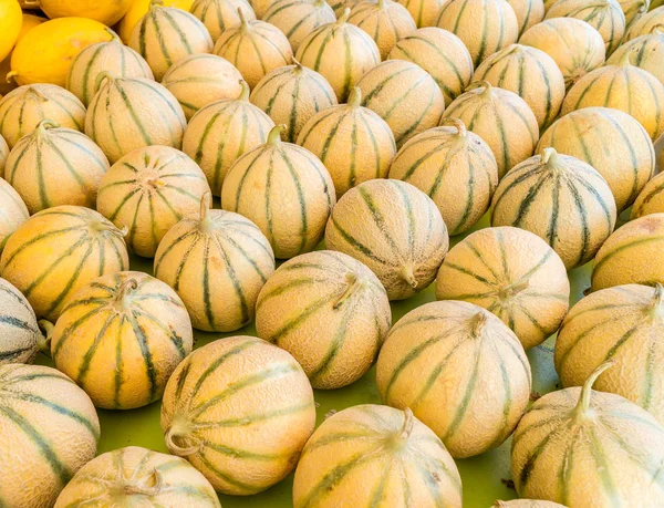 Reife Cantaloupe Melonen. Lebensmittel-Hintergrund. — kostenloses Stockfoto