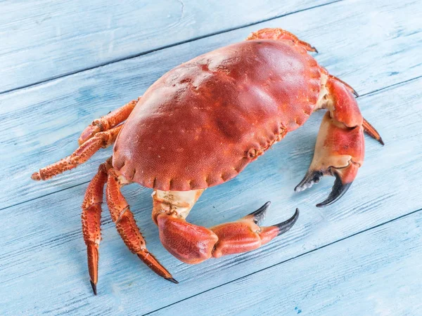 Cooked brown crab or edible crab.