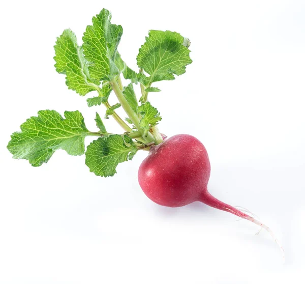 Ensalada roja redish con hojas sobre fondo blanco . — Foto de Stock