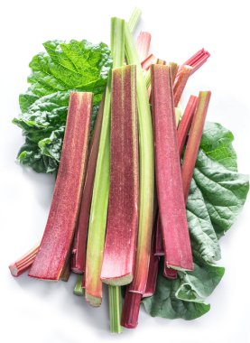 Edible rhubarb stalks on the white background. clipart