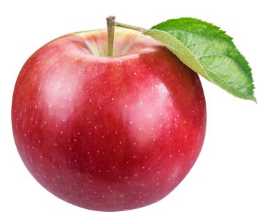 Olgun Kırmızı elma yaprağı. 