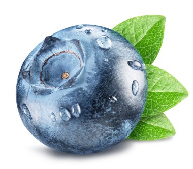 Yaban mersini yaprağı ve dewdrops. Makro vurdu. Dosyada, cl
