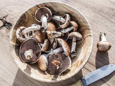 Ahşap masa üzerinde kapta champignon mantar.