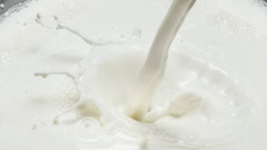 Süt ve süt splash dökme. Yakın çekim.