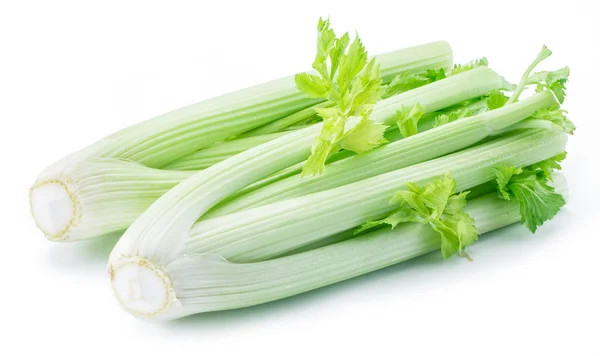 Fresh green leaf stalks of celery. — Stock Photo, Image