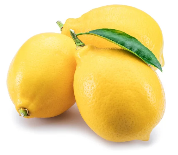 Frutti di limone maturi con foglia di limone sullo sfondo bianco . — Foto Stock