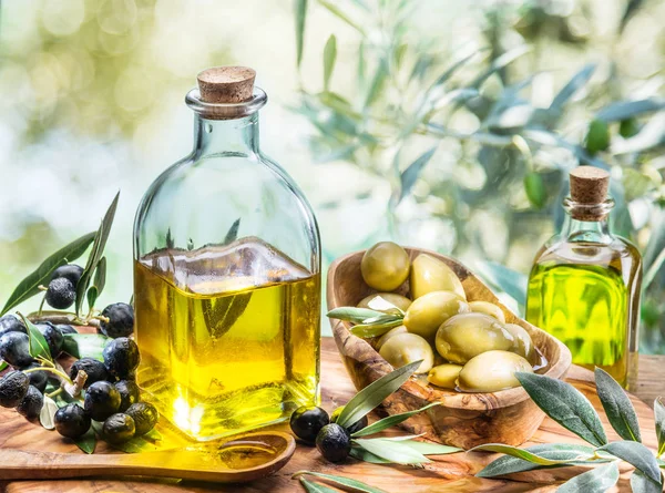 Olivový olej a bobule jsou na dřevěný stůl pod olivovníky tr — Stock fotografie