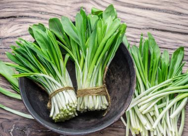 Ahşap masa üzerinde genç taze yabani sarımsak.