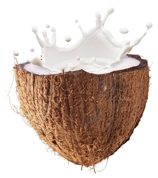 Fruta de coco y leche salpicada en su interior. Ruta de recorte . —  Fotos de Stock