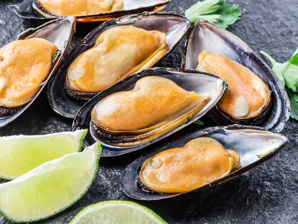 Mussels on the graphite background. — Stock Photo, Image